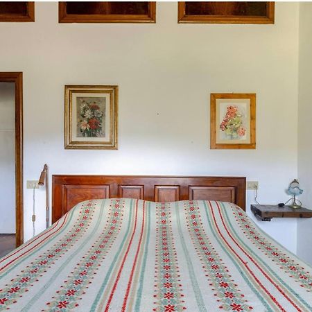 Divinae Cintoia Villa Greve in Chianti Luaran gambar